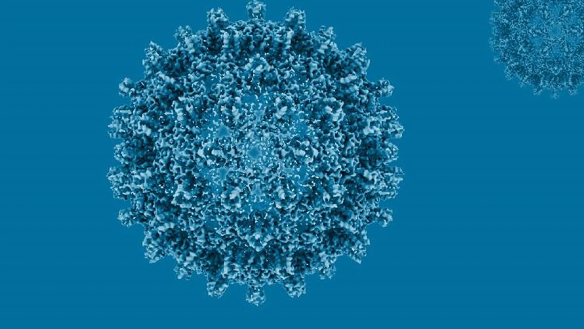 La OMS insta a tomar medidas contra la hepatitis y advierte de que causa más de 1,3 millones de muertes anuales