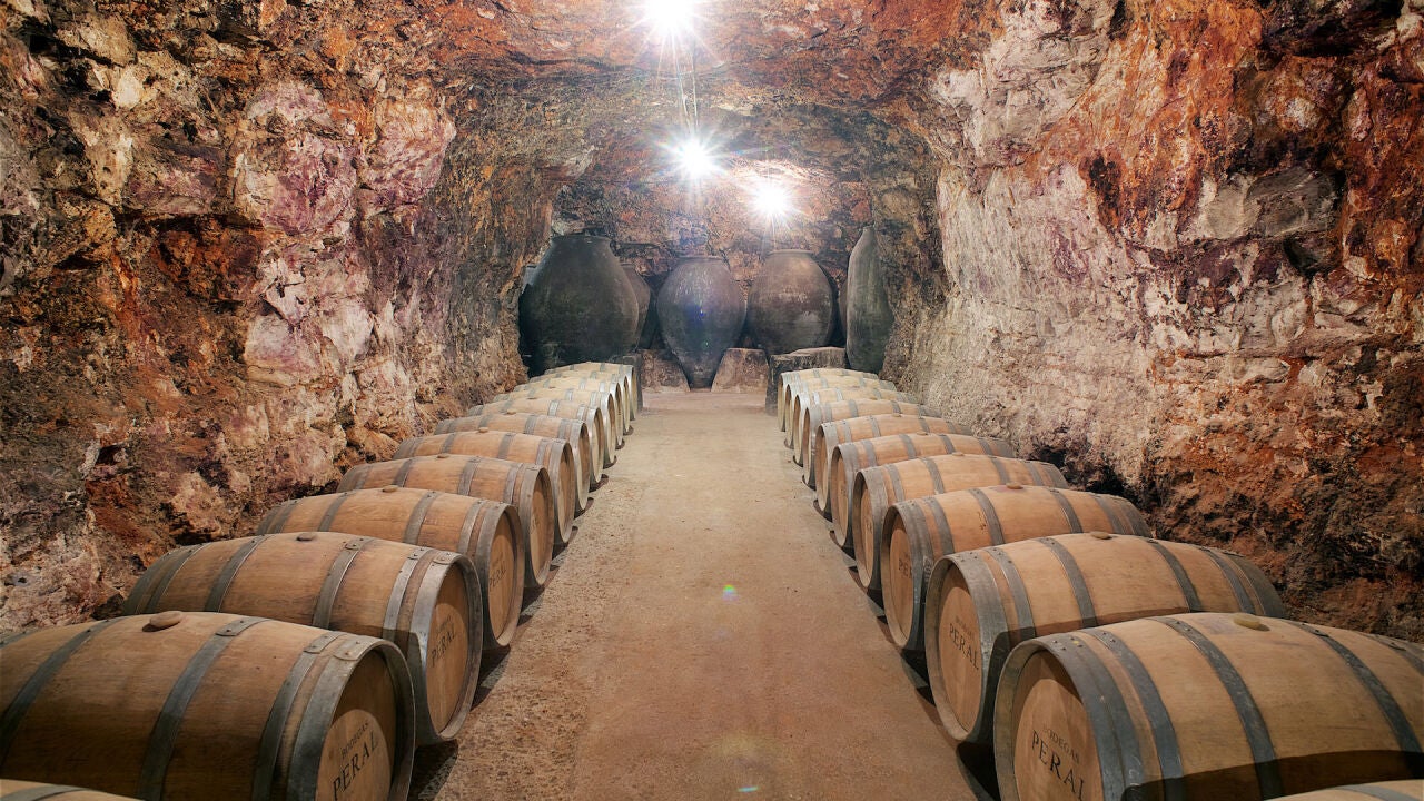 La Ruta del Vino, de la mano de Cercanías Madrid, se pone en marcha: destinos y fechas
