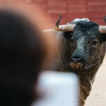 Septiembre devuelve el protagonismo al toro en Las Ventas con desafíos y corrida concurso