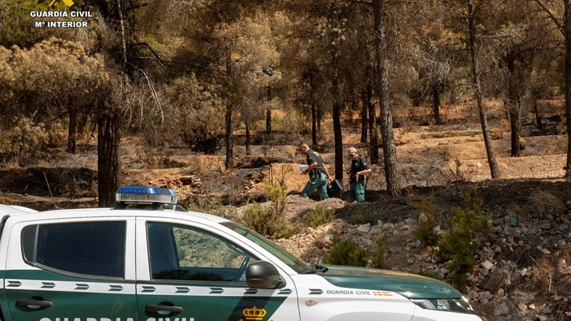 Agentes del Seprona de la Guardia Civil en una zona afectada por el incendio forestal de Ibi (Alicante)REMITIDA / HANDOUT por Guardia CivilFotografía remitida a medios de comunicación exclusivamente para ilustrar la noticia a la que hace referencia la imagen, y citando la procedencia de la imagen en la firma28/07/2025