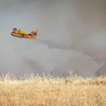 Incendios forestales activos en España, en directo: última hora en Ávila, Tenerife y Málaga, zonas evacuadas