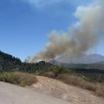 Declaran un conato de incendio en Tenerife