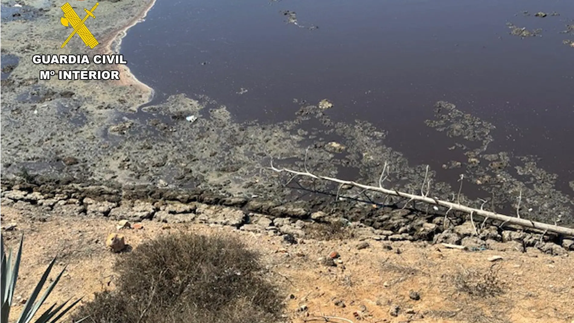MURCIA.-Sucesos.- Investigan a 4 ganaderos por construir balsas que vertían a las ramblas restos de 13.500 cabezas de ganado