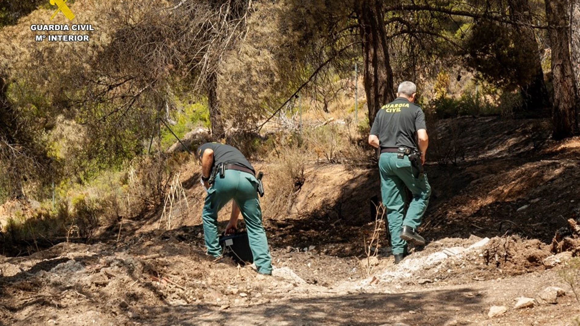 Investigan a un hombre por el incendio de Ibi (Alicante) que arrasó 185 hectáreas y afectó al parque natural de la Font Roja