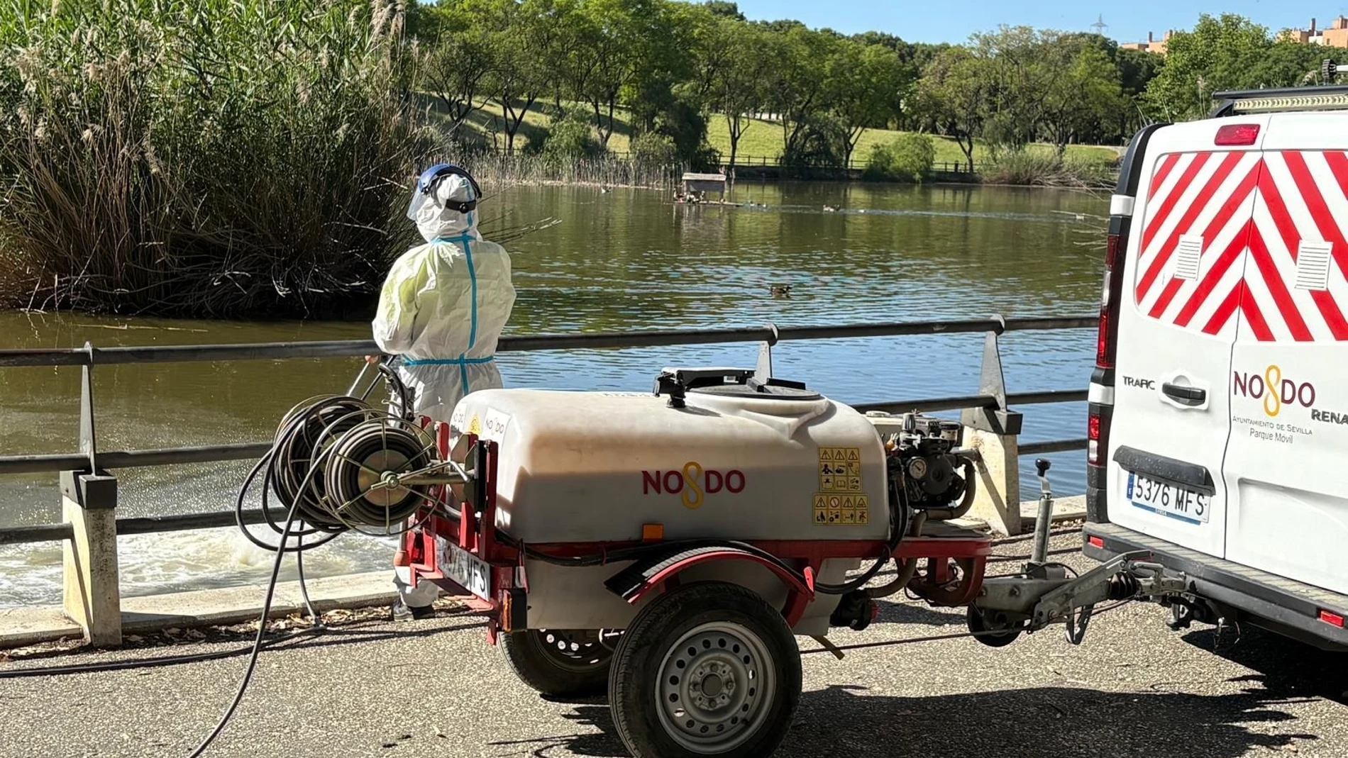 Labores de fumigación en estanques de competencia municipal contra los mosquitos