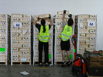 La sexta campaña «Ningún hogar sin alimentos» ya ha recaudado más de 1,6 millones de euros