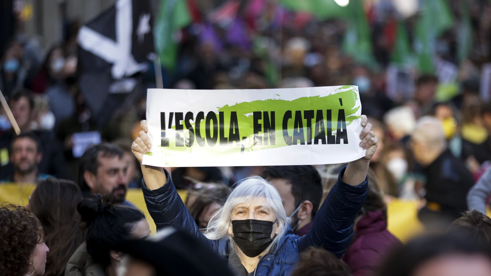 La diputada de la CUP, Dolors Sabater (c), participa en la manifestación convocada por los sindicatos Ustec, Intersindical, CGT, COS,Sindicat d'Estudiants dels Països Catalans (SEPC) y las Asociaciones Federadas de Familias de Alumnos de Cataluña (AFFaC) quienes participan este sábado en una protesta por las calles de Barcelona a favor de la inmersión lingüística en catalán y contra el acuerdo político que reconoce por primera vez el castellano como lengua vehicular en la enseñanza.