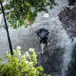 La AEMET avisa: lluvias intensas y noches tropicales en estas zonas de España