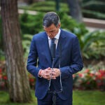 Comparecencia de Pedro Sanches posterior al despacho del presidente con S.M. el Rey Felipe VI, en el Palacio d