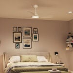 Philips Ceiling Fan Light