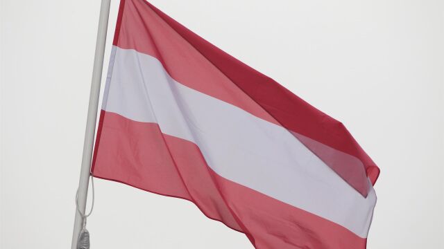 Austria.- Dimite un embajador austriaco acusado de gestionar un blog con contenido sadomasoquista
