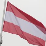 Austria.- Dimite un embajador austriaco acusado de gestionar un blog con contenido sadomasoquista