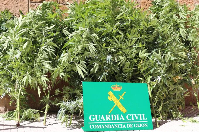 La Guardia Civil desmantela una plantación de marihuana en una vivienda de Miraflores y detiene a tres personas