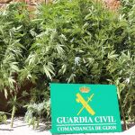 La Guardia Civil desmantela una plantación de marihuana en una vivienda de Miraflores y detiene a tres personas