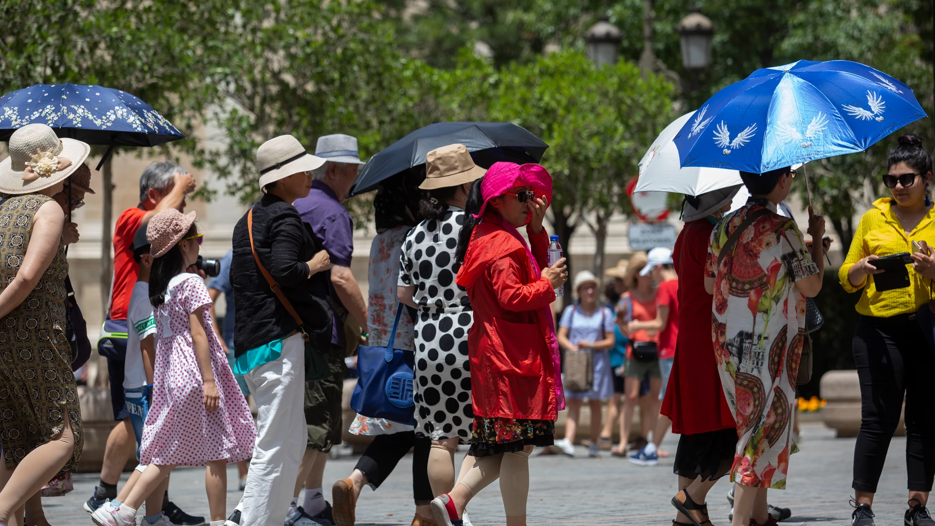 Turistas asiáticos se protegen del sol mientras hacen cola para entrar en el Real Alcázar de Sevilla
