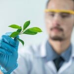 Botánico en el laboratorio