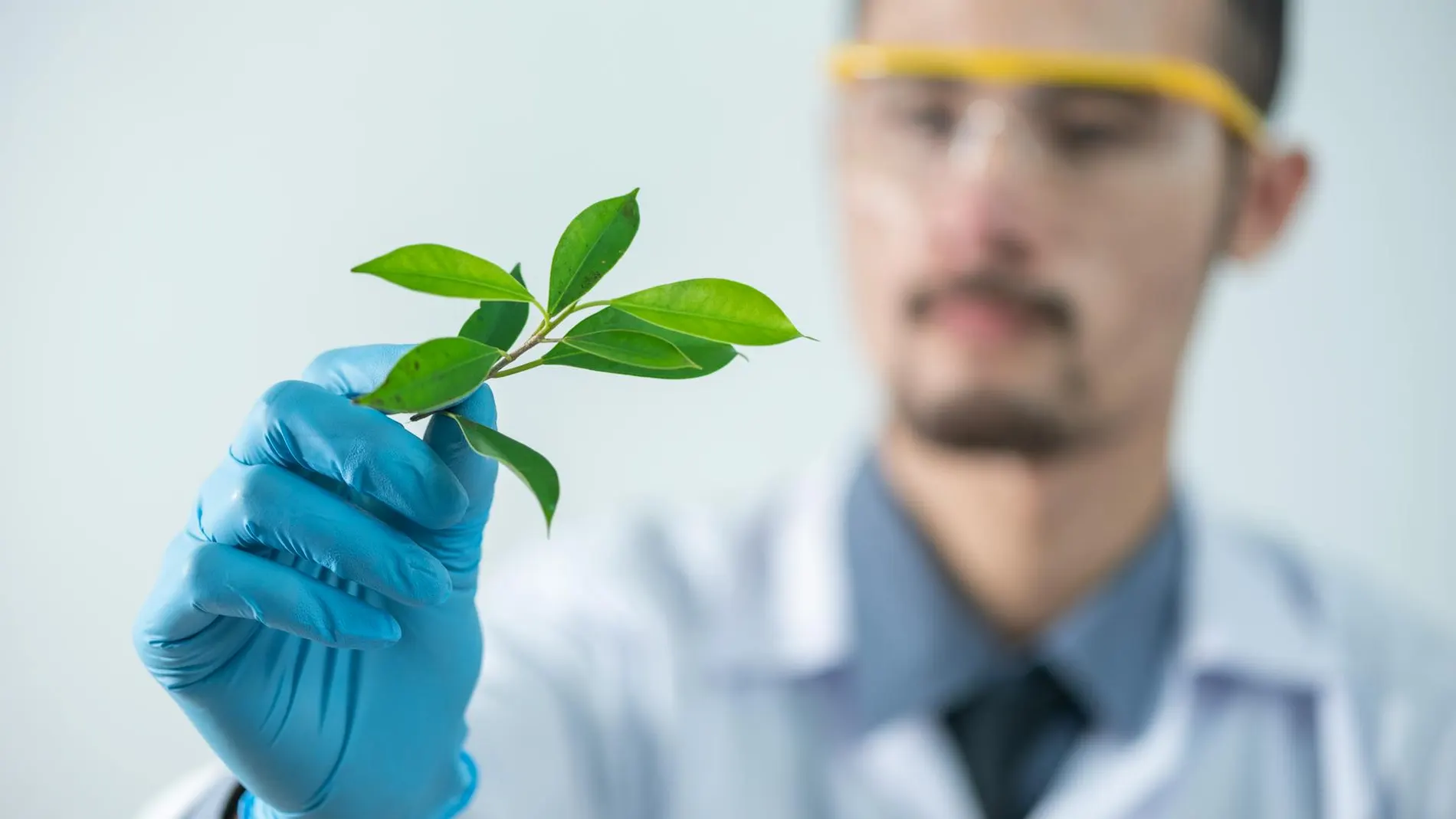 Botánico en el laboratorio