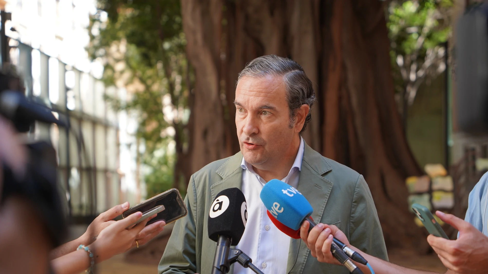 El PP vuelve a cargar contra Ángel: "Los valencianos no nos merecemos un falsificador como comisionado del Gobierno para la dana"