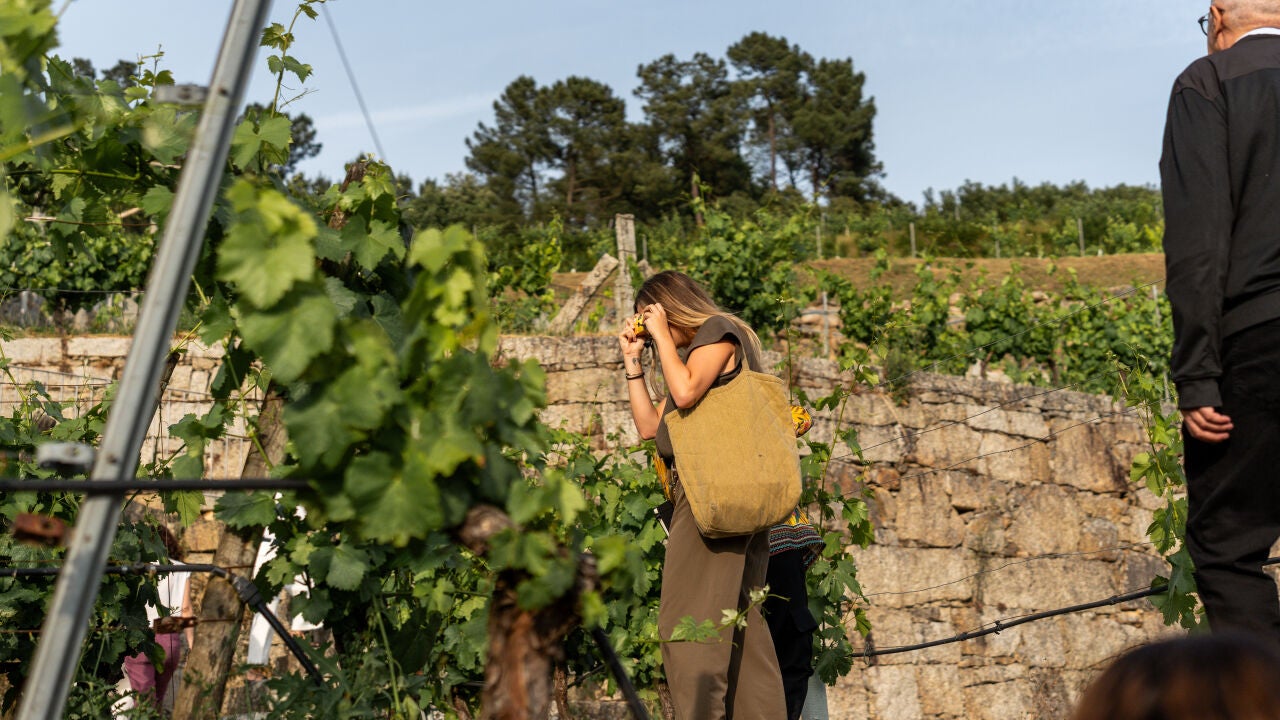Enoturismo para aprender en A Vilerma