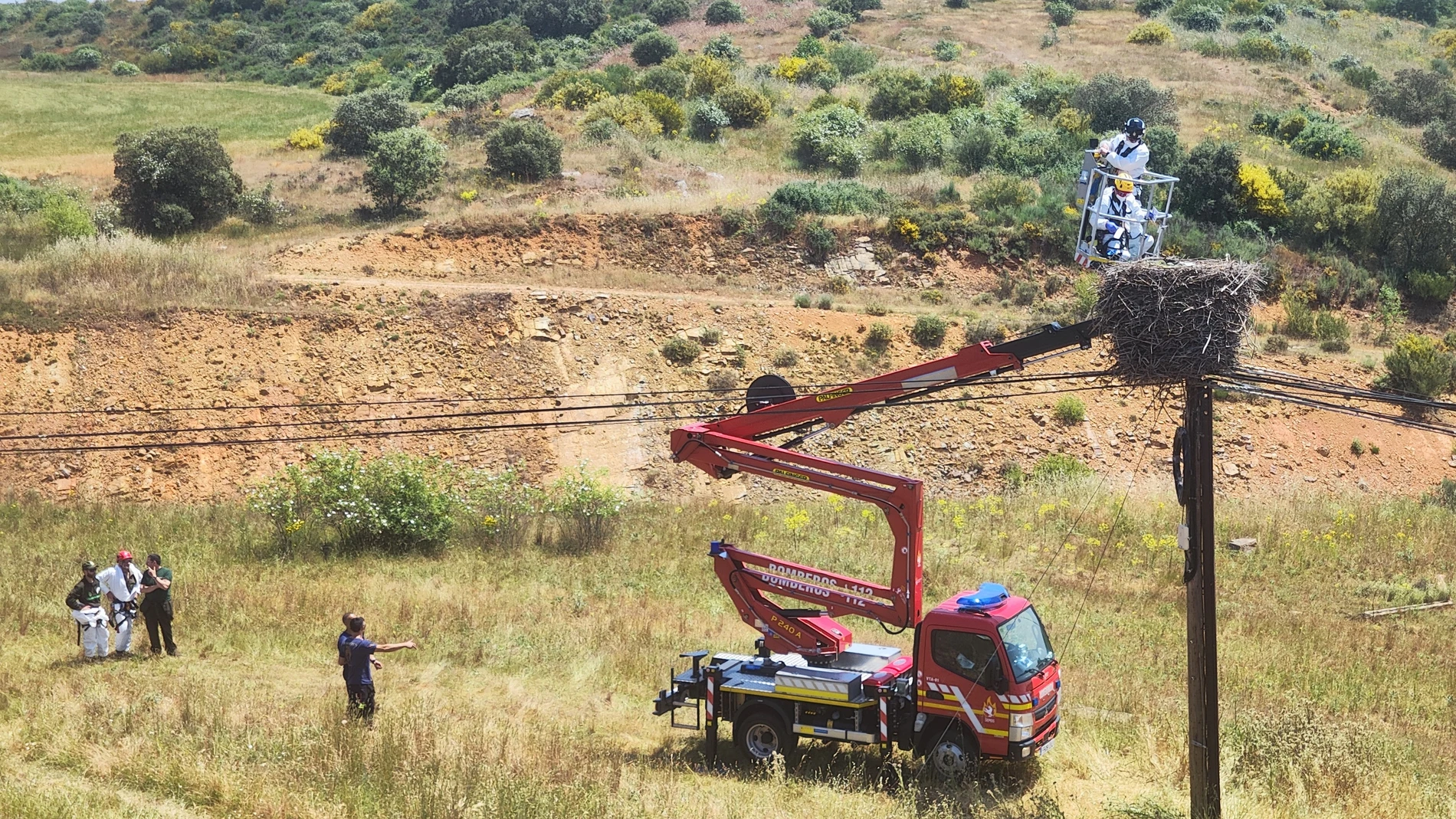 Investigan la muerte de varias cigüeñas blancas tiroteadas en sus nidos en Sopeña de Carneros (León)