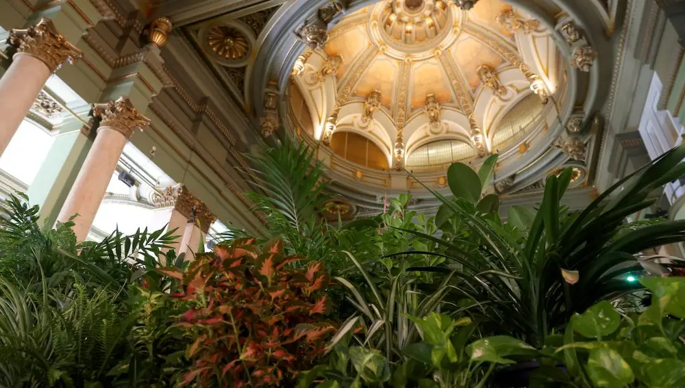 Refugio Climático en el Círculo de Bellas Artes en Madrid