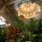 Refugio Climático en el Círculo de Bellas Artes en Madrid