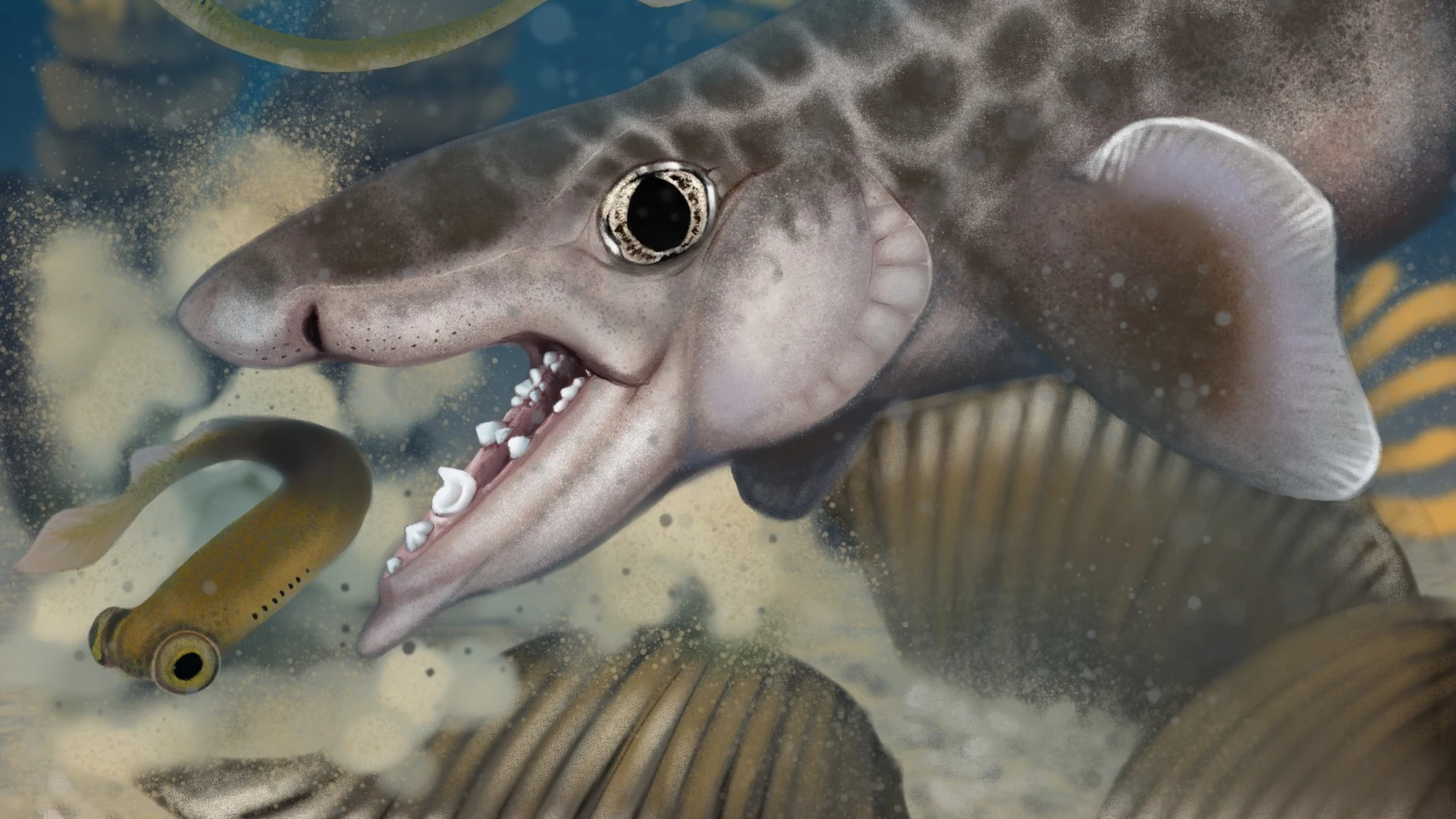 Descubierta una nueva especie de tiburón en las cuevas de Kentucky: "Esto lo cambia todo