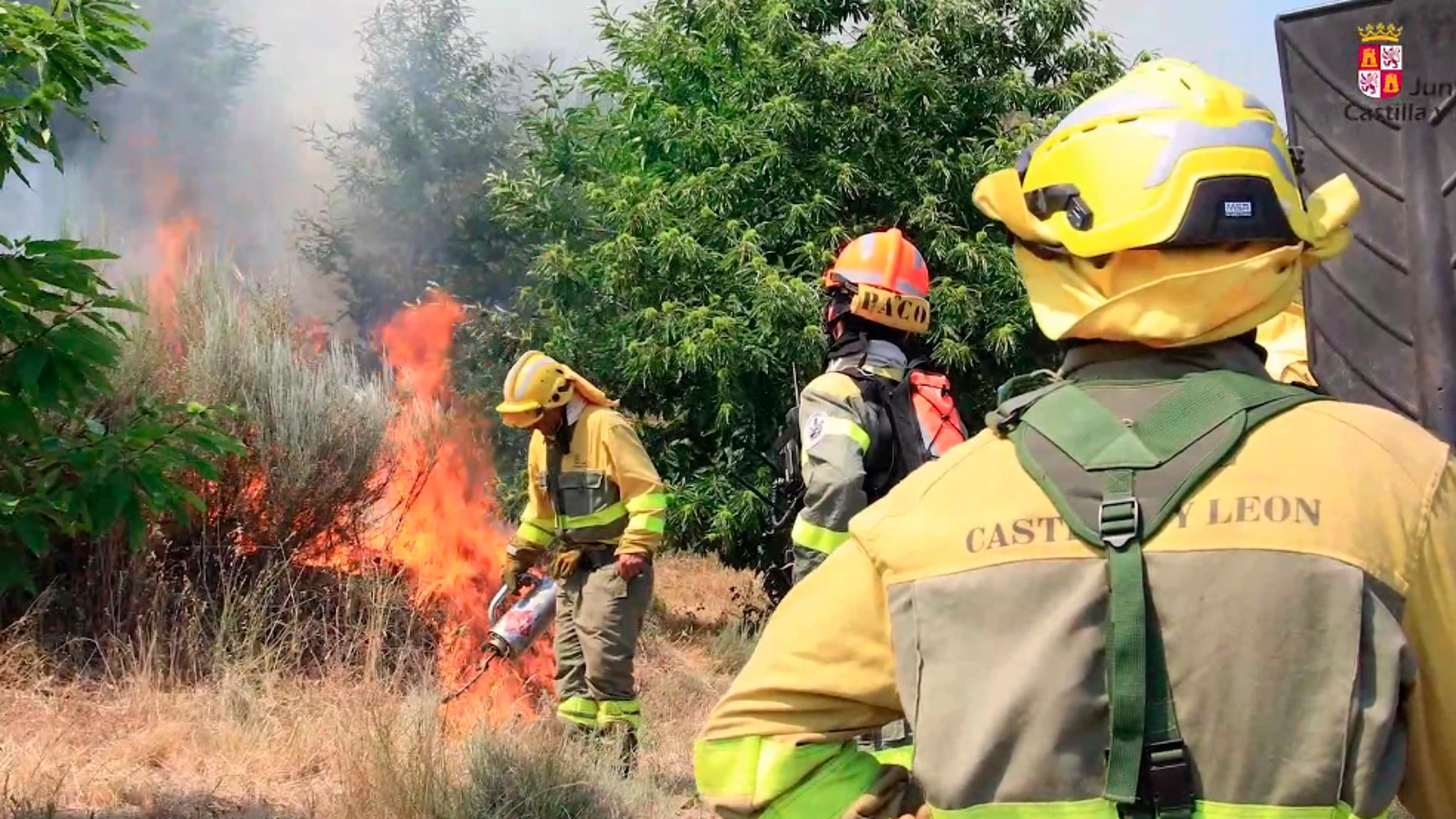 Contrafuego o fuego técnico como herramienta de combate de extinción en las inmediaciones del Arenal (Ávila)