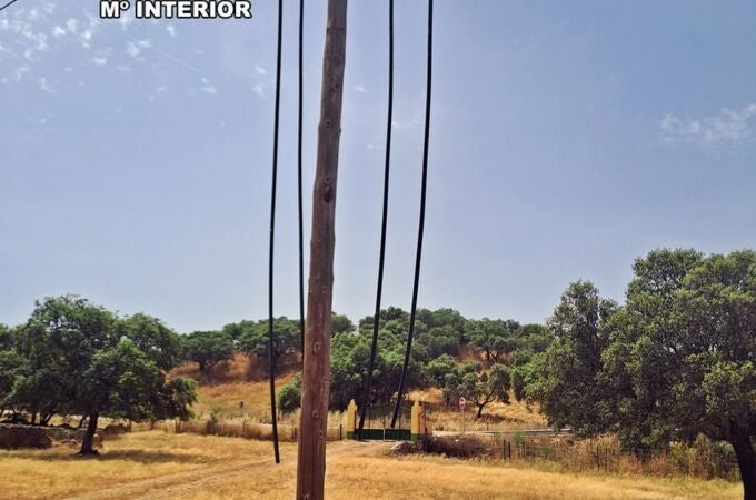 Sucesos.- Cae un grupo acusado del robo de ganado y 8.400 metros de cable de líneas telefónicas en Mérida