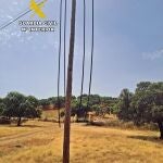 Sucesos.- Cae un grupo acusado del robo de ganado y 8.400 metros de cable de líneas telefónicas en Mérida