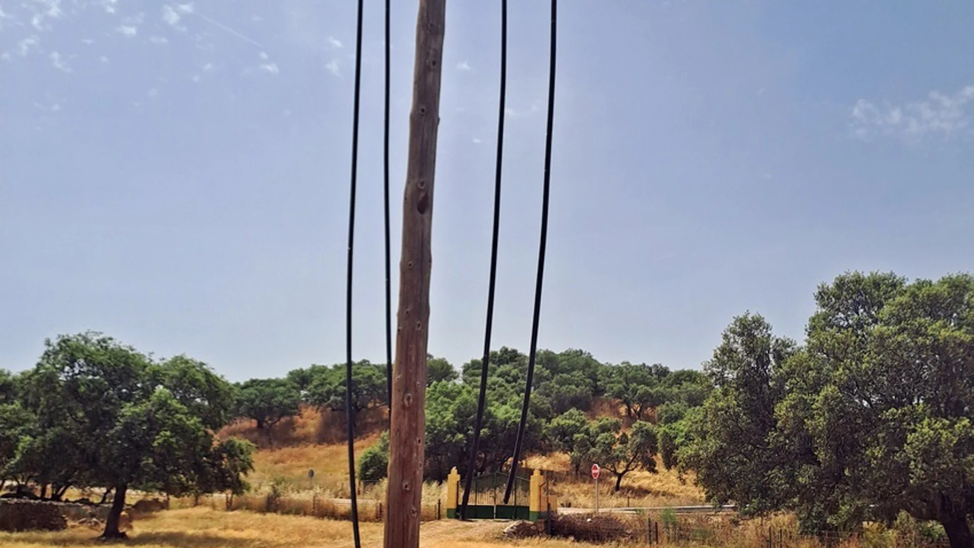 Sucesos.- Cae un grupo acusado del robo de ganado y 8.400 metros de cable de líneas telefónicas en Mérida