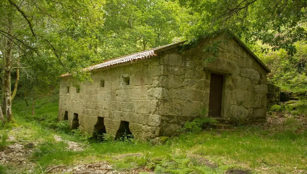 Muíño de Maceira