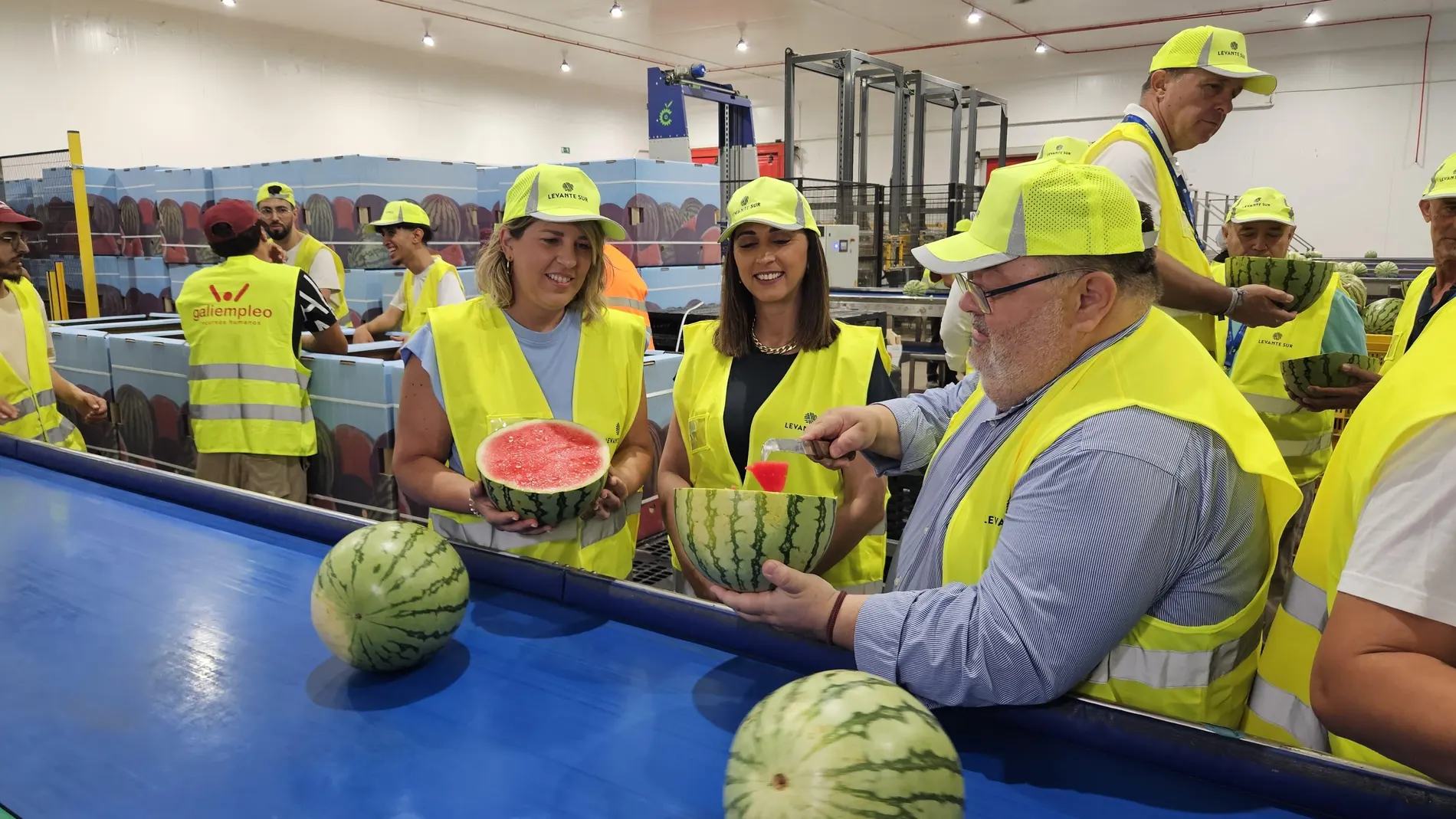La sandía "made in Región de Murcia" triunfa en mercados de todo el mundo