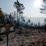 El incendio forestal de Ávila no sufre reproducciones tras una noche de trabajo productivo
