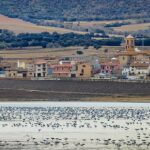 La laguna de Gallocanta