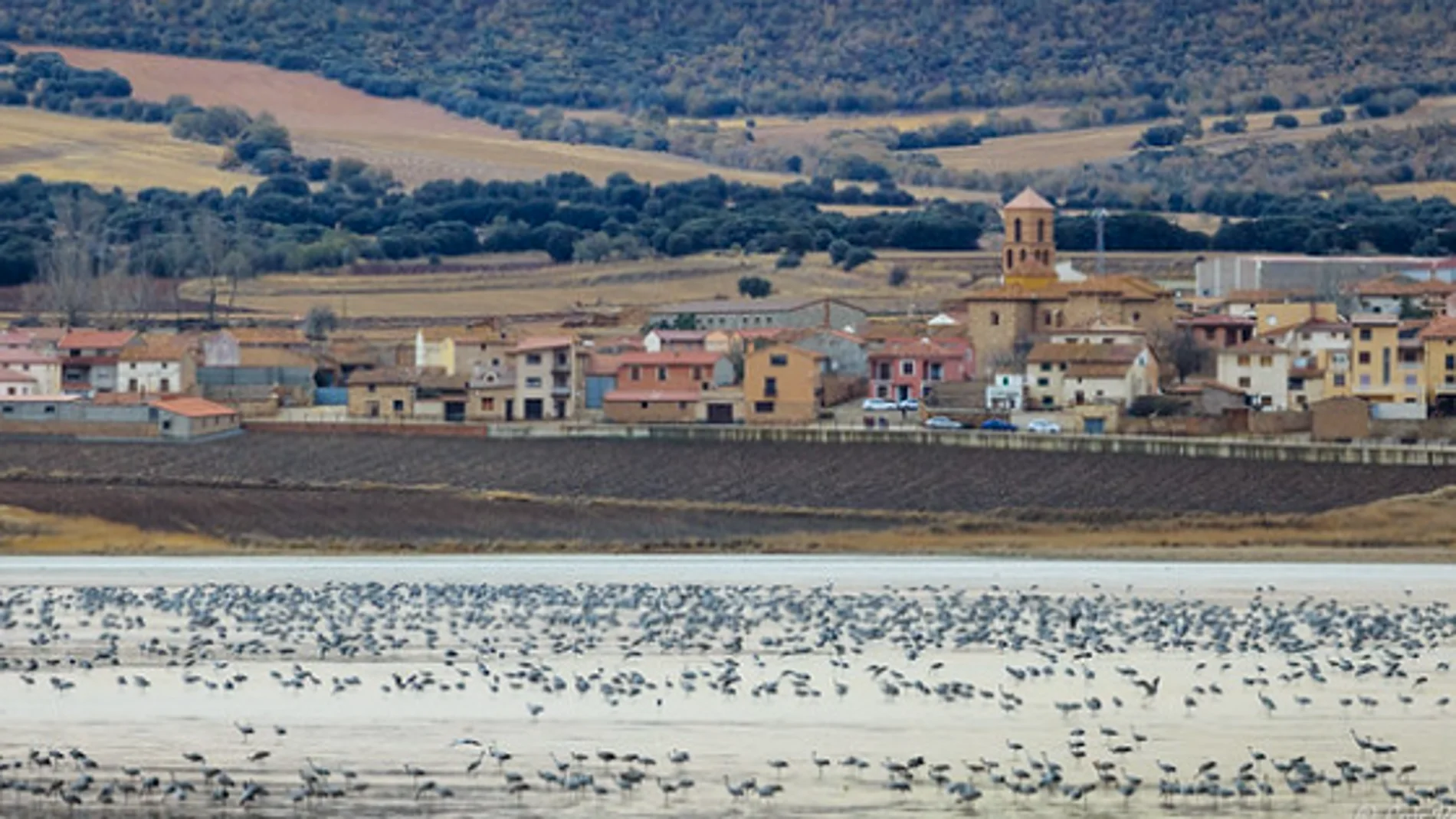 La laguna de Gallocanta