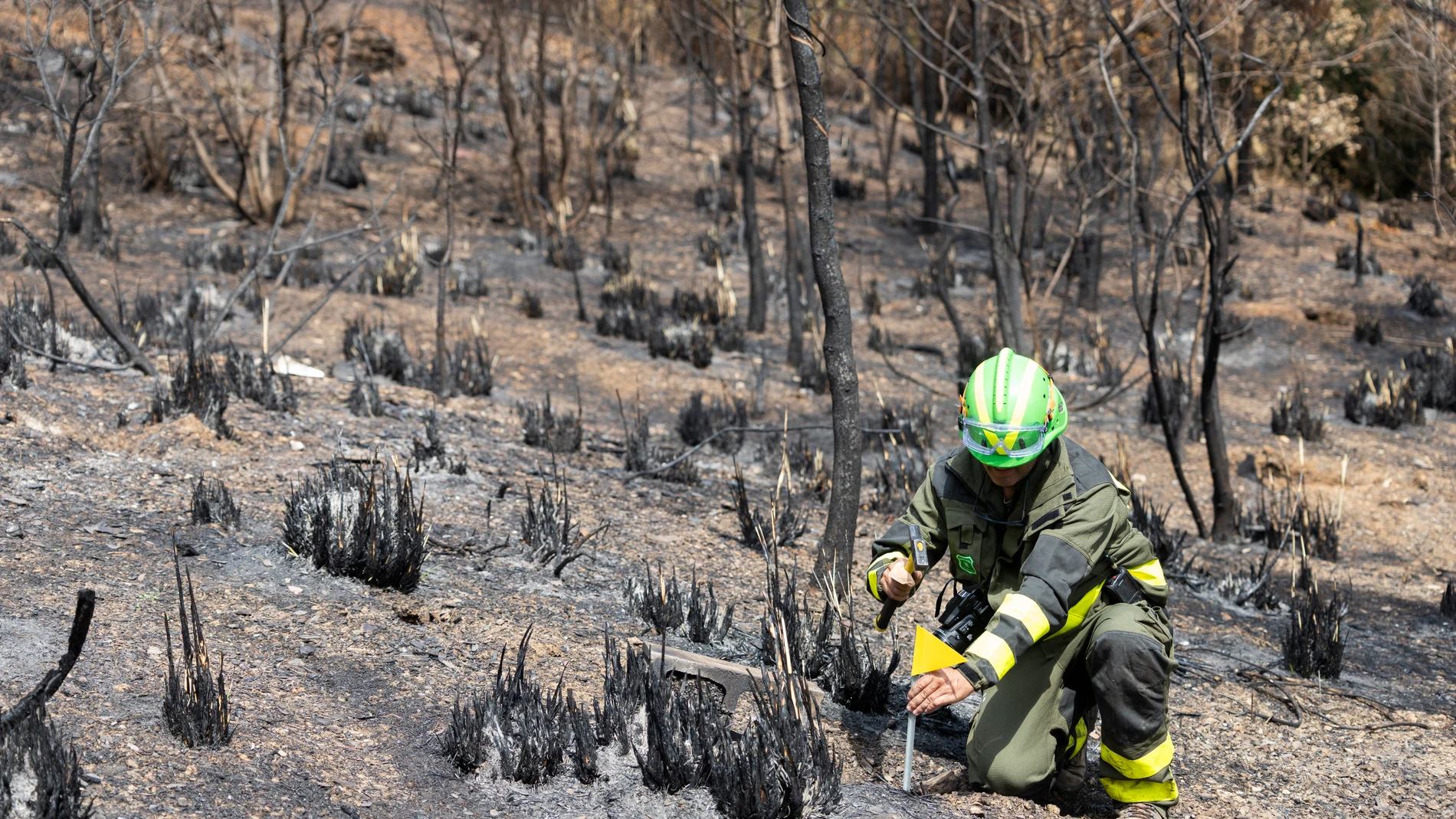 GRAFCAT1097 Viladecans (BARCELONA) 01/08/2025.- Miembros del cuerpo de los Agentes Rurales de la Generalitat, mostraron hoy sobre el terreno cómo se investigan los orígenes de los incendios forestales en Cataluña, donde nueve de cada diez fuegos se atribuyen a la actividad humana. EFE/Marta Pérez
