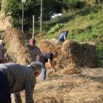 Vecinos de Corullón participan en la fiesta de la malla del cereal