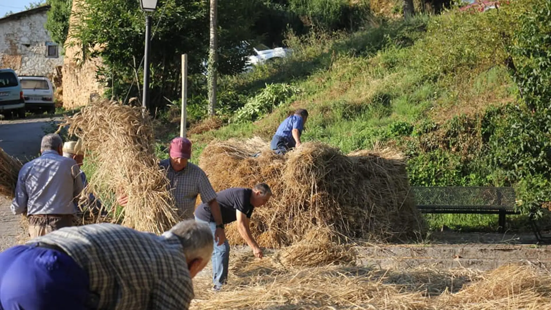 Vecinos de Corullón participan en la fiesta de la malla del cereal