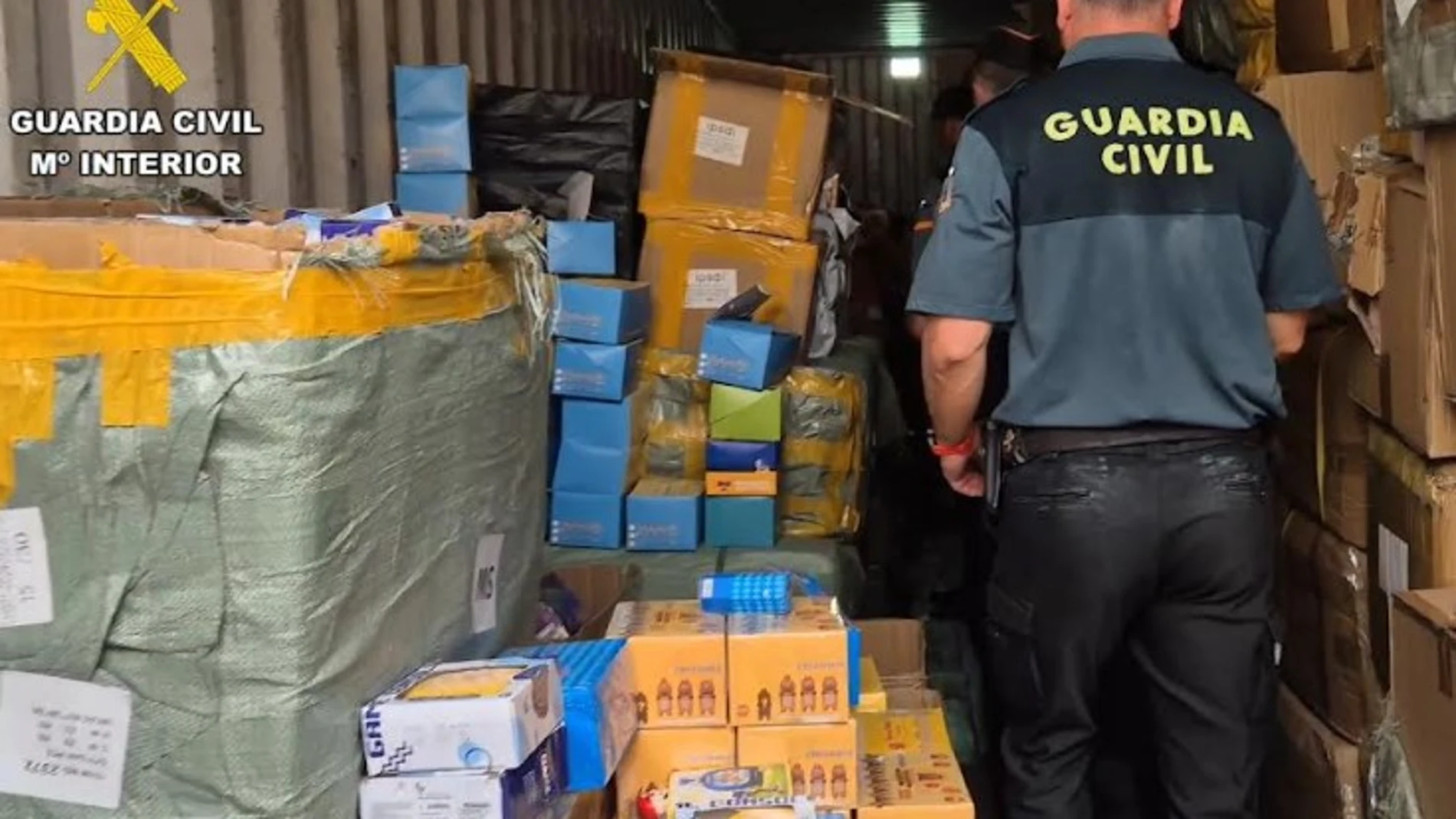 Un agente, durante las labores de inspección