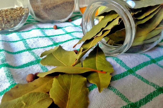 El sorprendente uso que tienen las hojas de laurel en la cocina: no solo se utilizan para la comida
