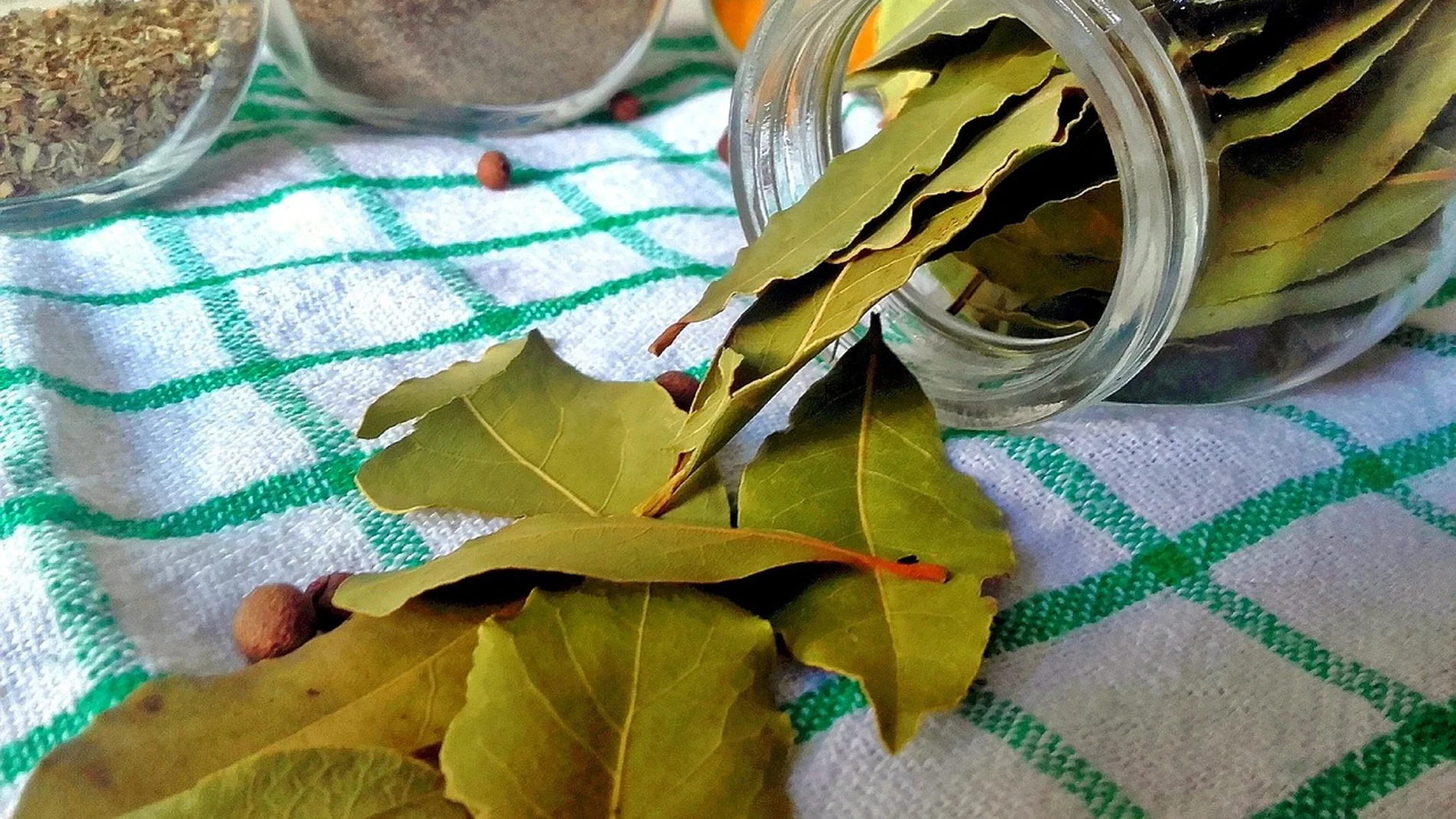 El sorprendente uso que tienen las hojas de laurel en la cocina: no solo se utilizan para la comida