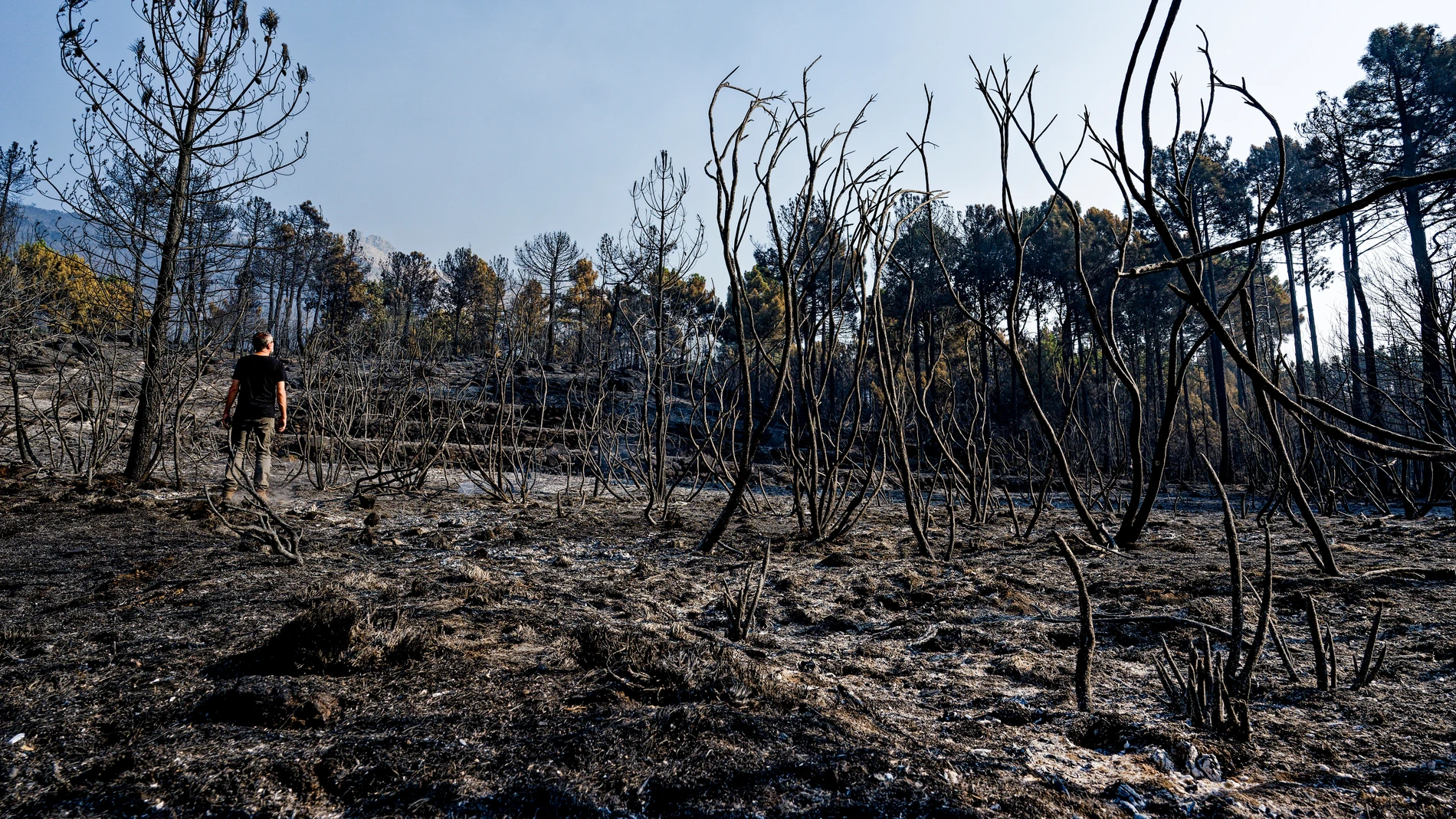 MOMBELTRÁN, CUEVAS DEL VALLE, EL ARENAL (ÁVILA), 01/08/2025.-Vista de los efectos del incendio en las localidades abulenses de Mombeltrán, Cuevas del Valle y El Arenal. El incendio forestal que desde la noche del pasado lunes se mantiene activo en el Valle del Tiétar, al sur de la provincia de Ávila, no sufre reproducciones, después de una noche "tranquila", en la que el trabajo del amplio dispositivo desplazado a la zona ha sido "productivo". Tras la evolución positiva del jueves, favorable ...