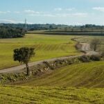 La Comunidad de Madrid patenta un dron con vuelo autónomo para detectar plagas y ahuyentar aves en explotaciones agrícolas