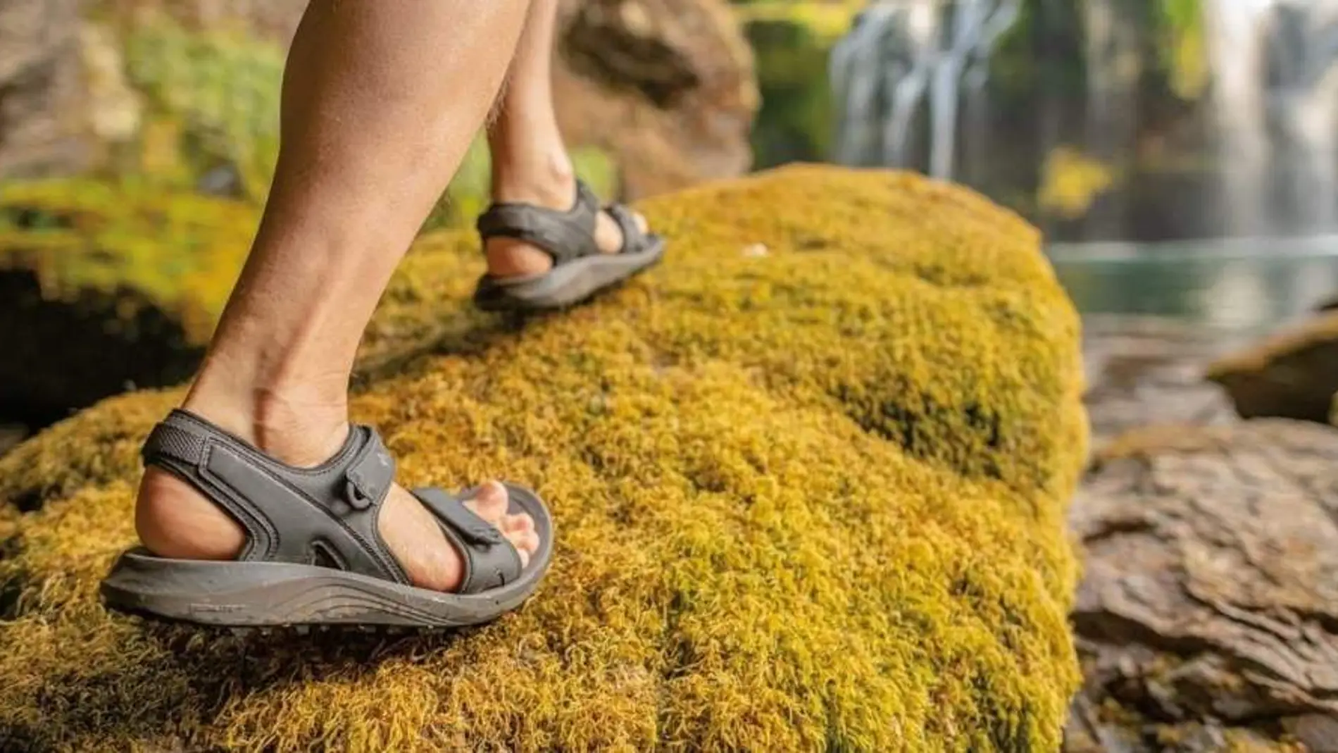 Columbia Konos Hiker 3-Strap