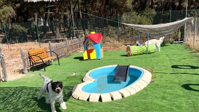 Centro Canino Las Cortes en Burgos