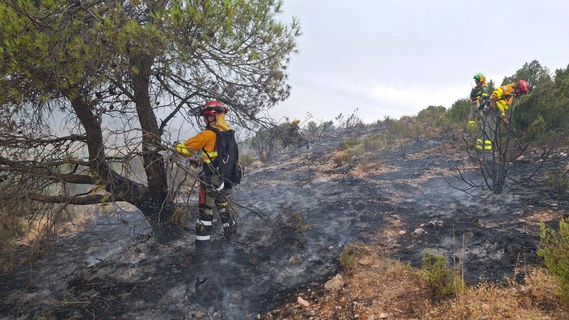 Incendio El Sabinar REMITIDA / HANDOUT por FOTO FACILITADA POR AGENTES MEDIOAMBIENTALES Fotografía remitida a medios de comunicación exclusivamente para ilustrar la noticia a la que hace referencia la imagen, y citando la procedencia de la imagen en la firma 02/08/2025