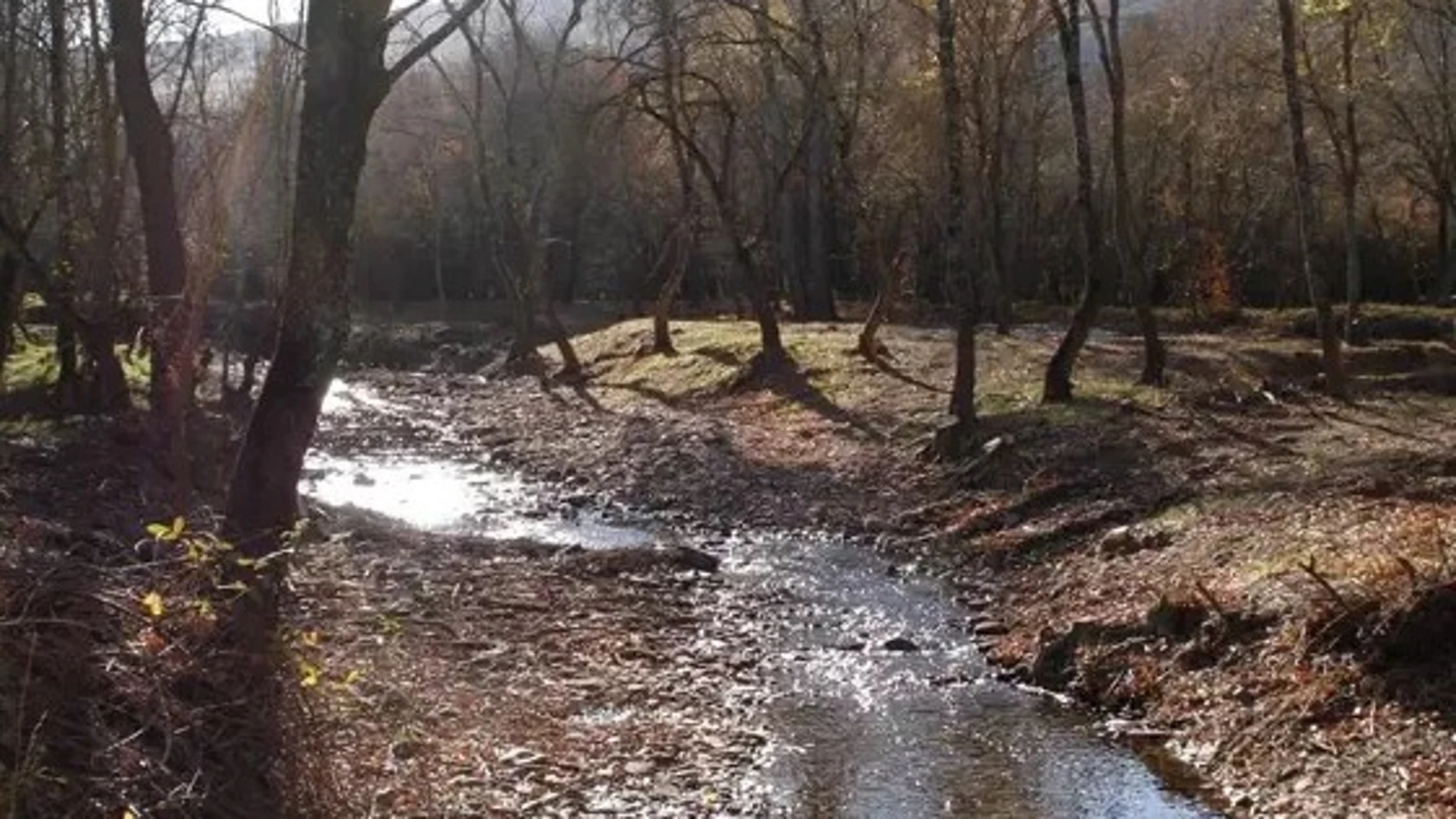 Río Duero a su paso por Langosto, en la provincia de Soria