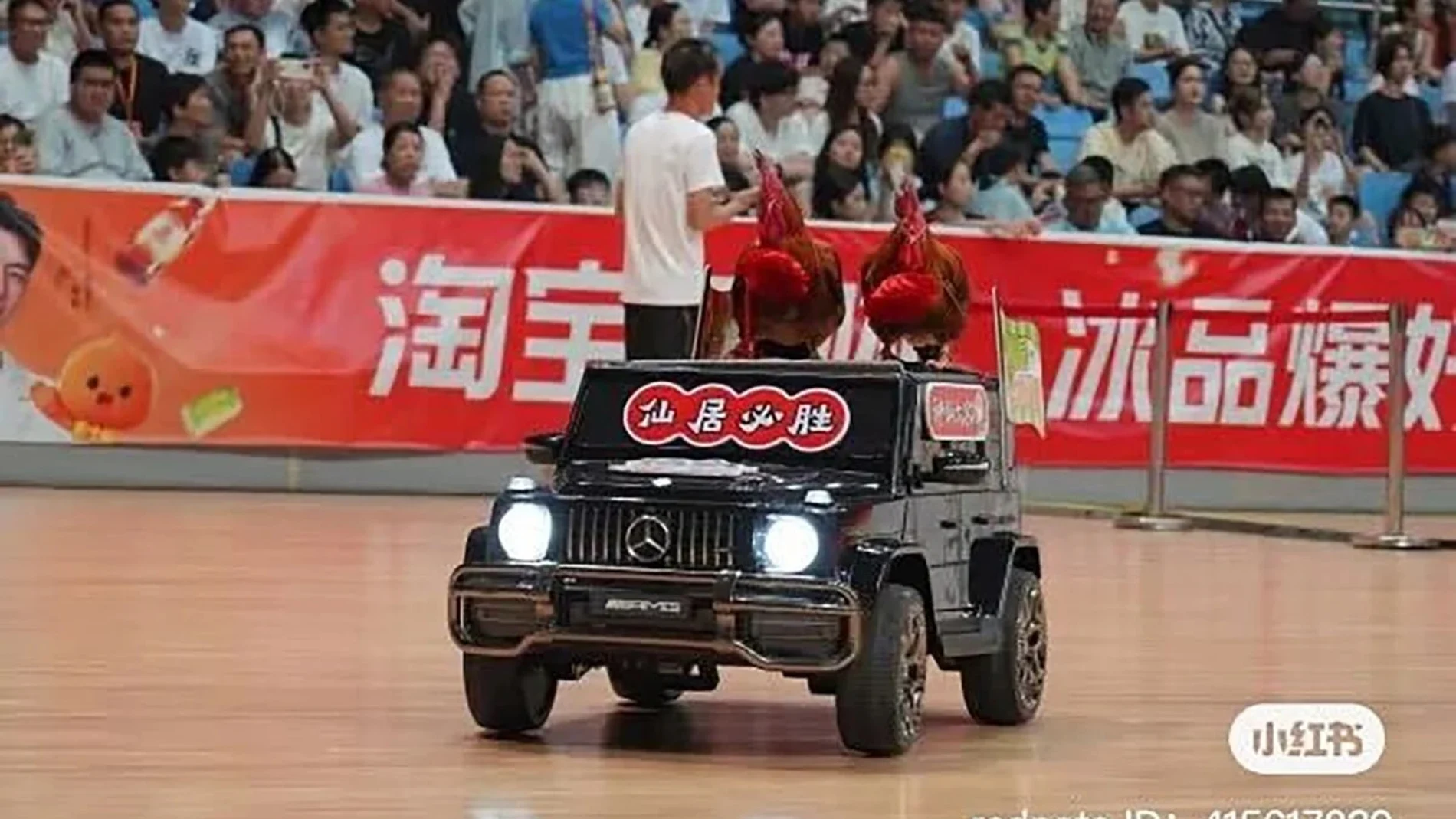 "La ZheBA puede que no entienda el baloncesto, pero entiende a Zhejiang"