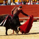 Enrique Ponce actuará en Madrid en otoño